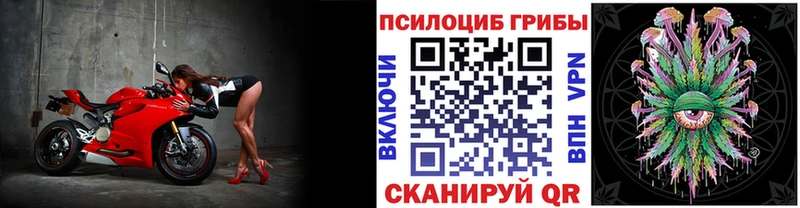 где продают   Малаховка  Псилоцибиновые грибы мухоморы 